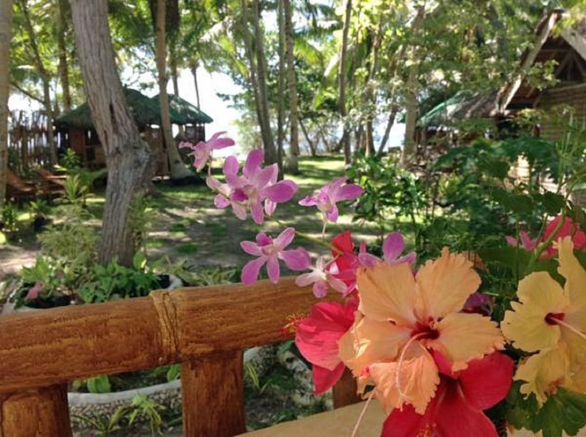 La Estrella Beach Resort & Cabilao Dive Center Loon Extérieur photo